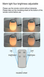 Solar Portable Basket LED Outdoor Light Waterproof Rechargeable Colour Changing Decorative Lamp with Remote for Garden | Patio and Camping