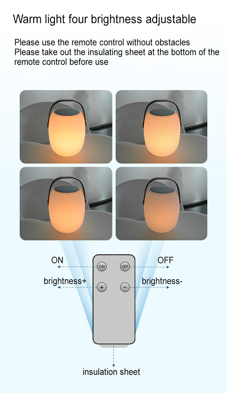 Solar Portable Basket LED Outdoor Light Waterproof Rechargeable Colour Changing Decorative Lamp with Remote for Garden | Patio and Camping