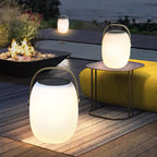 Solar Portable Basket LED Outdoor Light Waterproof Rechargeable Colour Changing Decorative Lamp with Remote for Garden | Patio and Camping