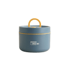 Insulated Lunch Box Double-Walled Stainless Steel Leak-Proof Food Container with Carry Bag for Work | School and Outdoor Meals