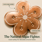 Copper Bird Bath Purifier Disc Floating Flower Algae Control Water Cleaner for Bird Baths | Fountains and Garden Water Features