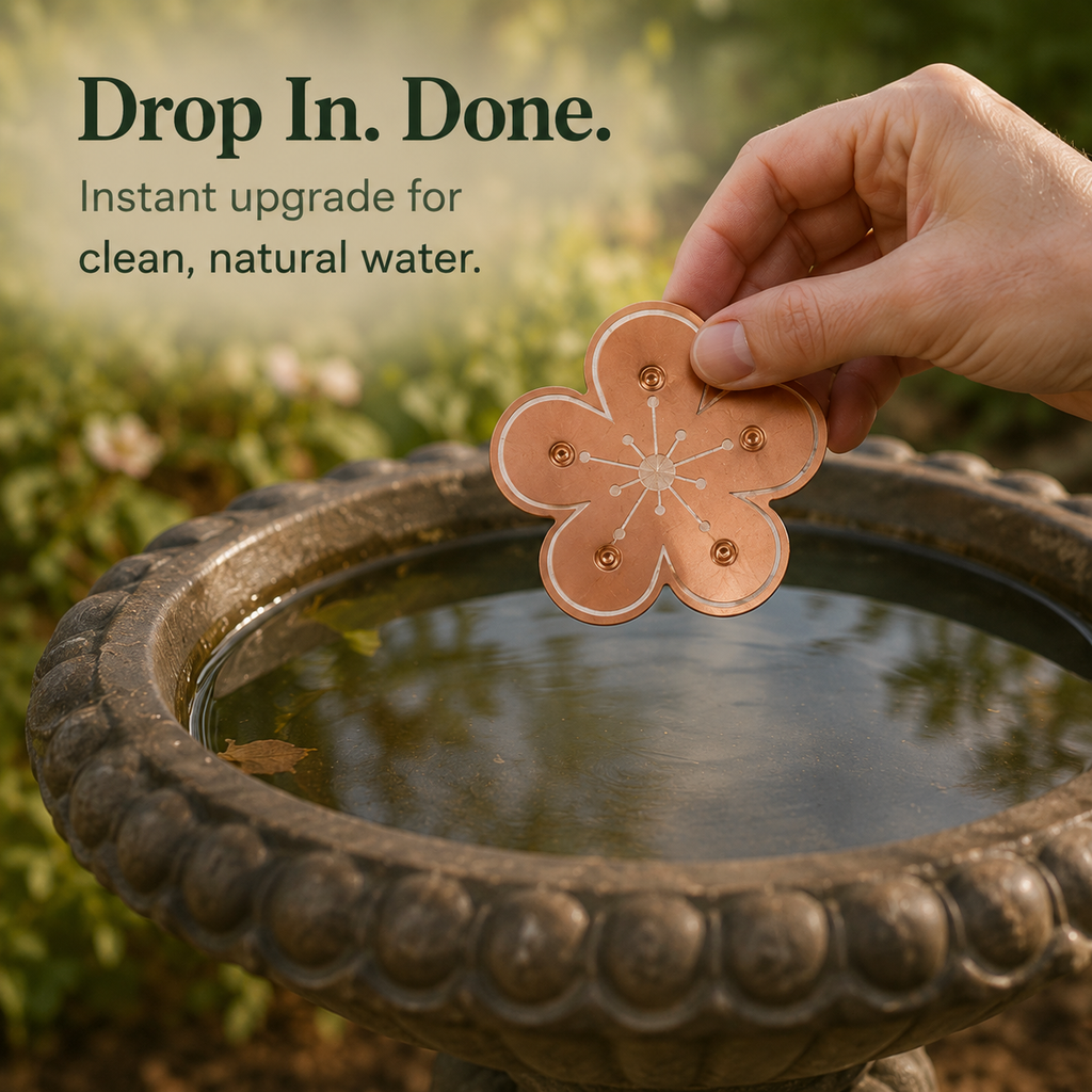 Copper Bird Bath Purifier Disc Floating Flower Algae Control Water Cleaner for Bird Baths | Fountains and Garden Water Features