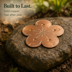 Copper Bird Bath Purifier Disc Floating Flower Algae Control Water Cleaner for Bird Baths | Fountains and Garden Water Features